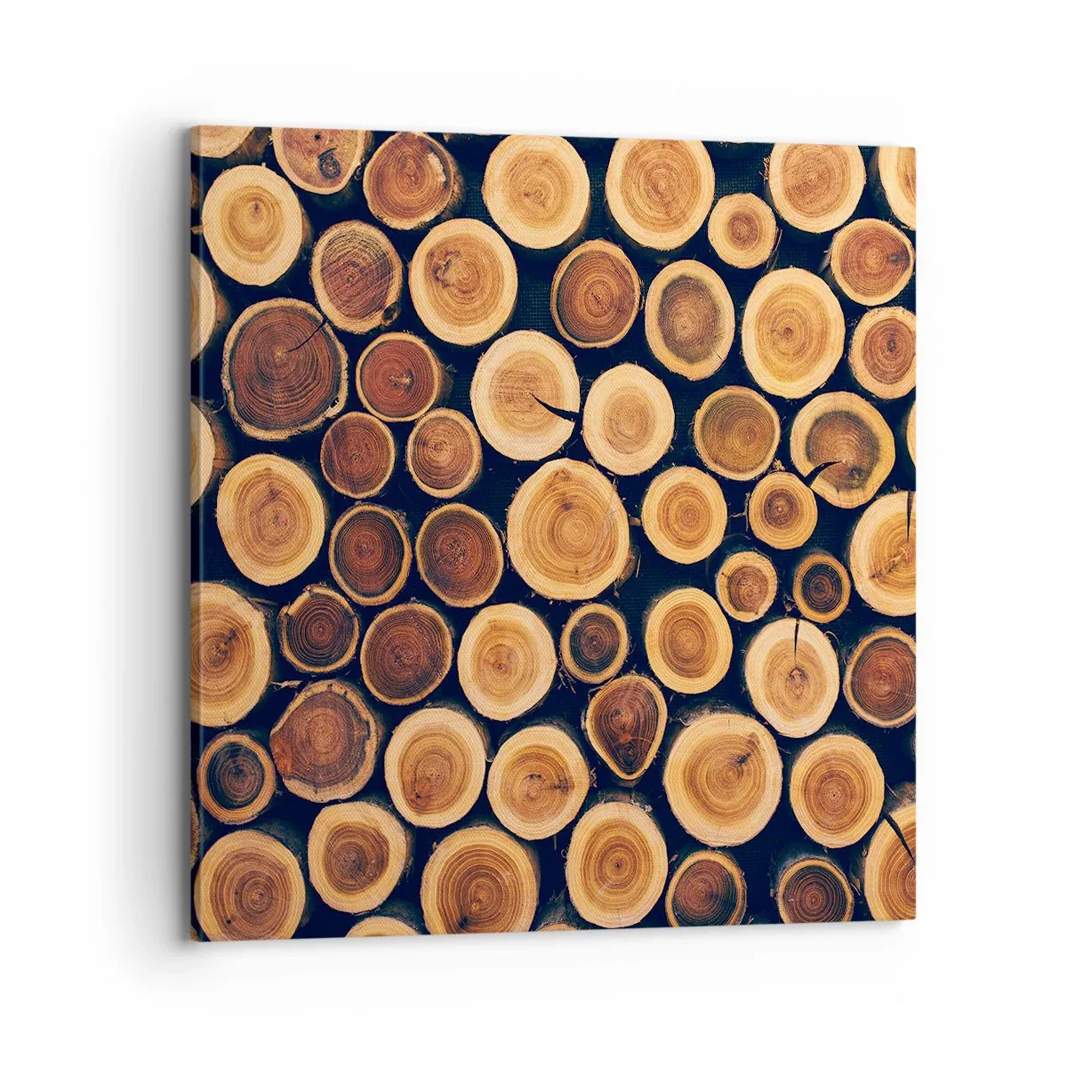 Obraz na plátne - Na koľko vyzerám? - 70x70 cm