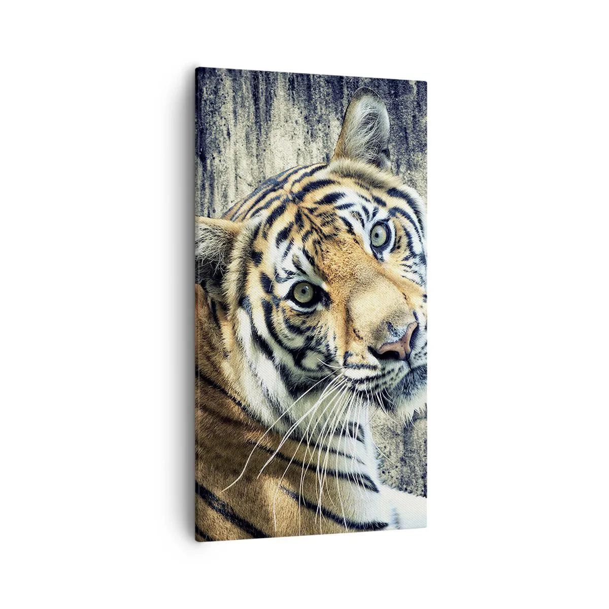 Obraz na plátne - Portrét v prameňoch svetla - 55x100 cm