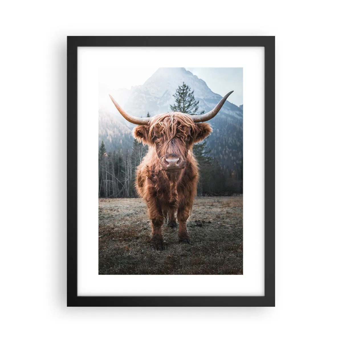 Plagát v čiernom ráme - Pozdravy z horskej lúky - 30x40 cm