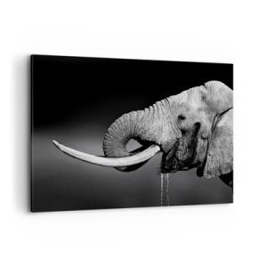 Obraz na plátne - Áno, teraz je to dobré - 100x70 cm