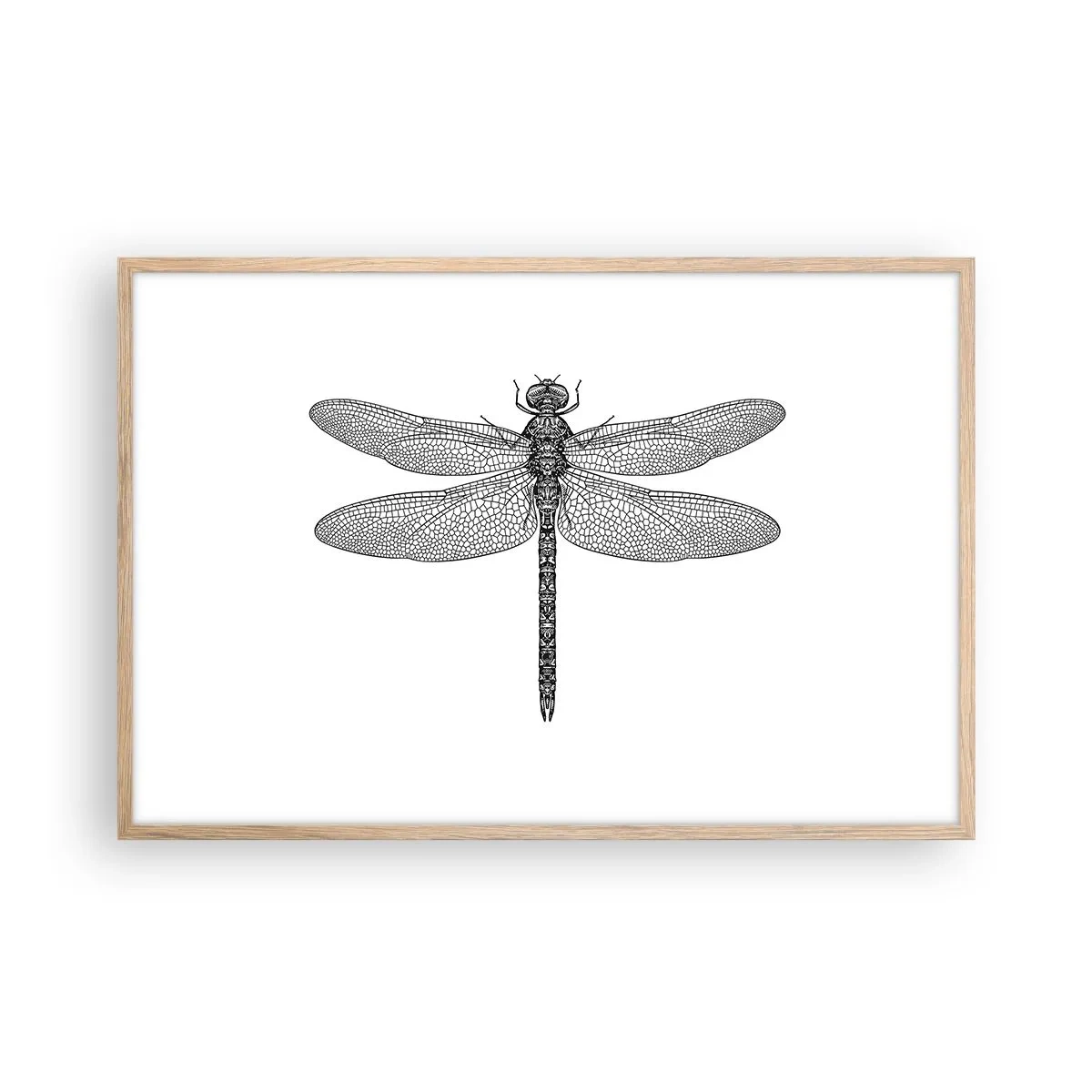 Plagát v ráme zo svetlého duba - Presnosť prírody - 91x61 cm