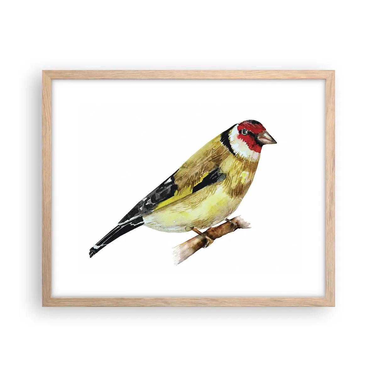 Plagát v ráme zo svetlého duba - Vtáčí portrét - 50x40 cm