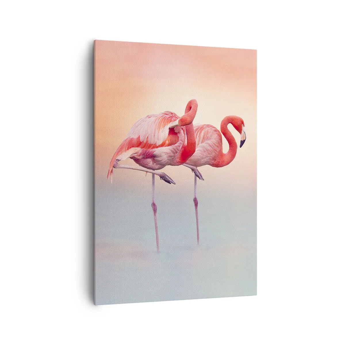 Obraz na plátne - Vo farbe zapadajúceho slnka - 70x100 cm