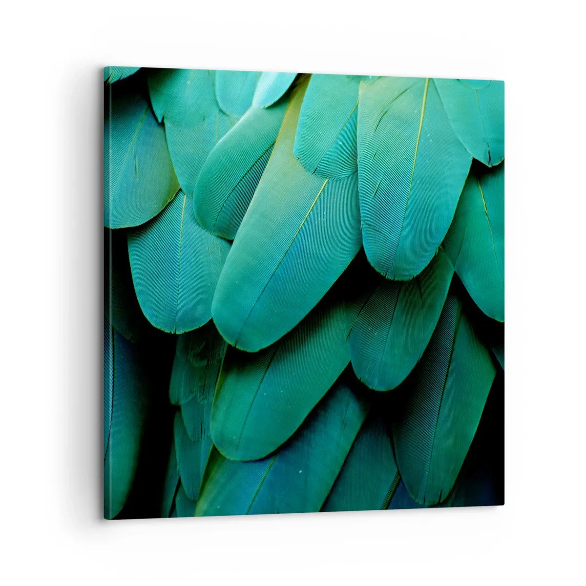 Obraz na plátne - Presnosť papagájovej povahy - 60x60 cm