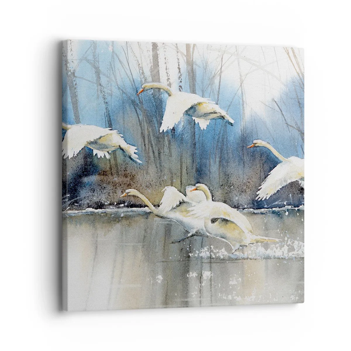 Obraz na plátne - Ako v poviedke o divokých labutiach - 30x30 cm