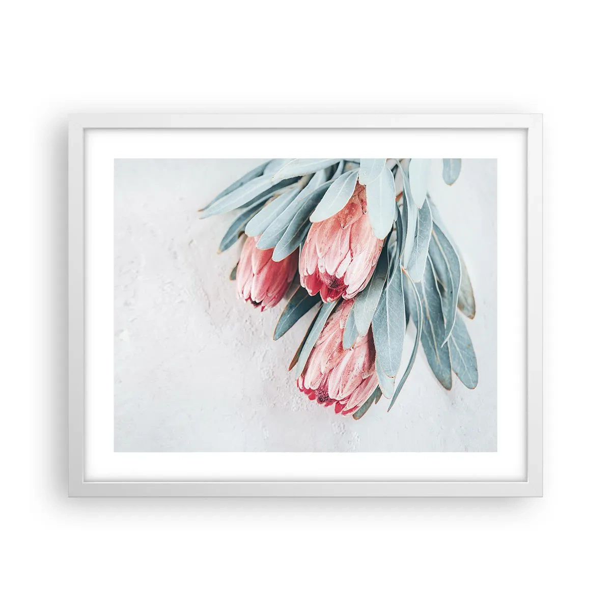 Plagát v bielom ráme - Zahanbené svojou vlastnou krásou - 50x40 cm