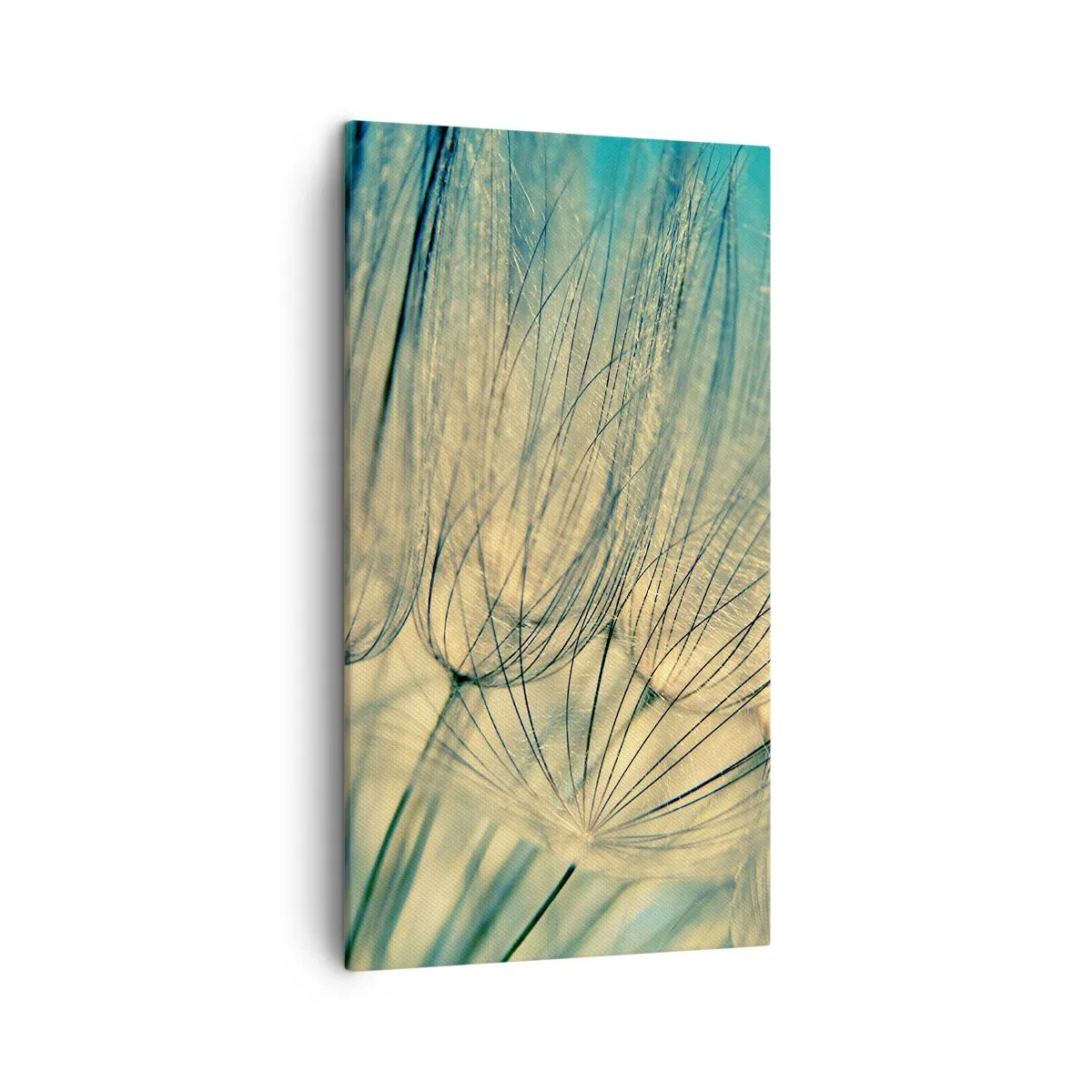 Obraz na plátne - Čakanie na vietor - 45x80 cm