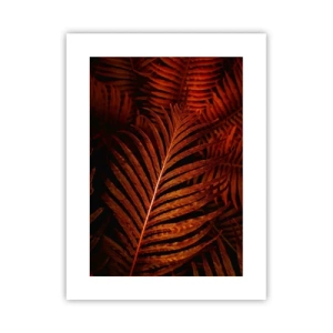 Plagát - Žiar života - 30x40 cm