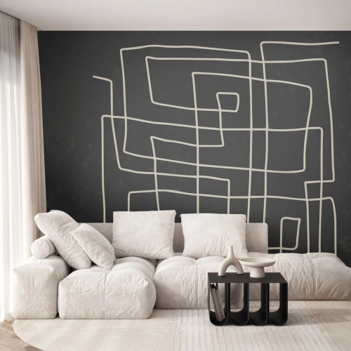 Fototapeta Premium Canvas - Nie je to tak jednoduché - Abstrakcia, Kus, Čierna a biela - 350x256 cm