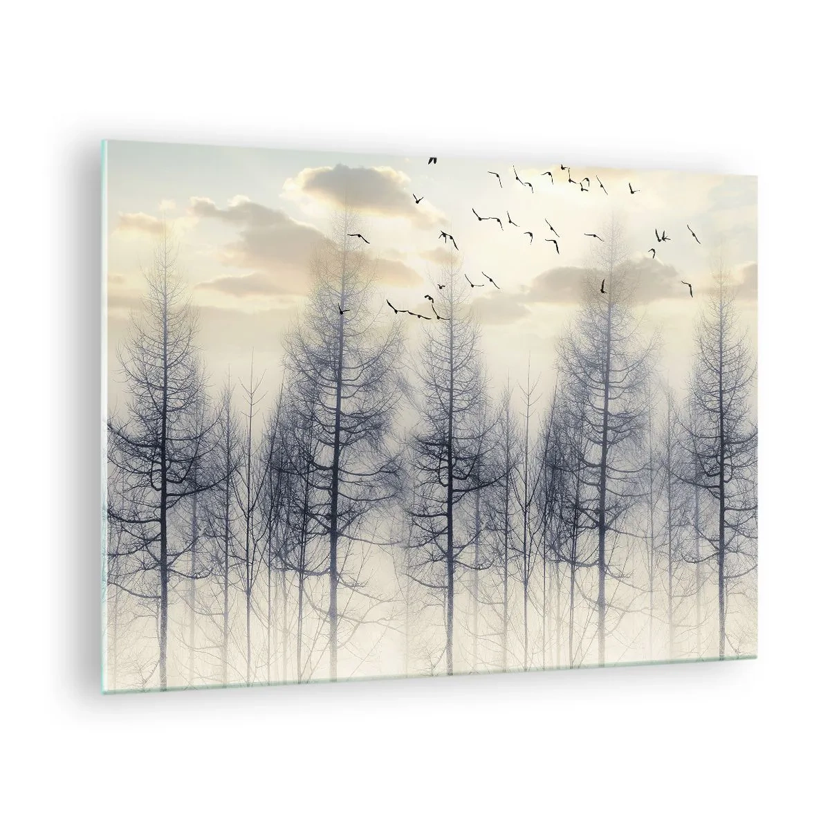 Obraz na skle - Hmlistý les s vtákmi, osvetlený vychádzajúcim slnkom - 70x50cm - Duchovia lesa - Moderná nástenná dekorácia do obývacej izby a spálne ARTTOR