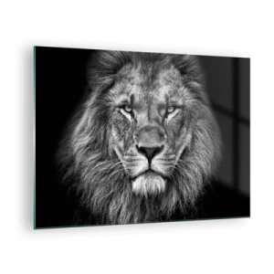 Obraz na skle - Portrét leva v čiernej a bielej farbe s majestátnou hrivou - 70x50cm - V korunovačnom odeve - Moderná nástenná dekorácia do obývacej izby a spálne ARTTOR