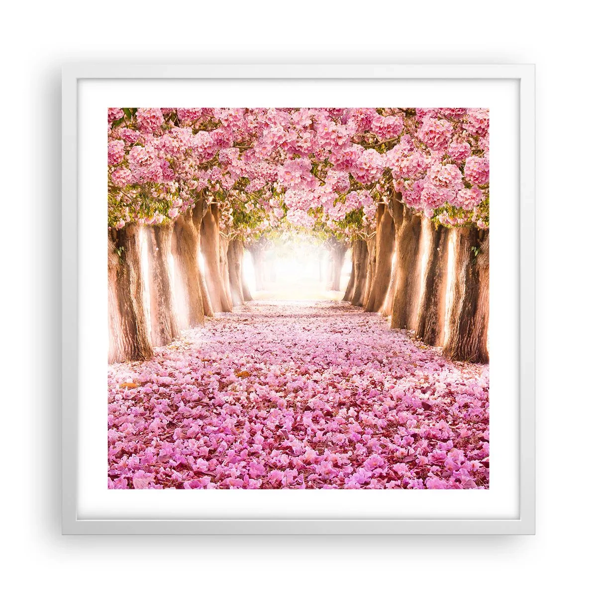 Plagát v bielom ráme - Cesta do raja - 50x50 cm