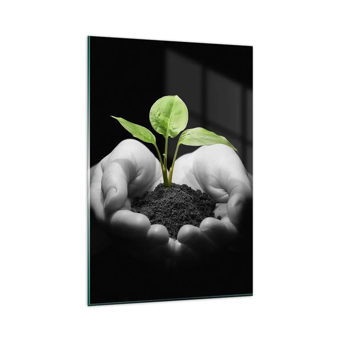 Obraz na skle - Milujem prírodu, chránim ju - 80x120 cm