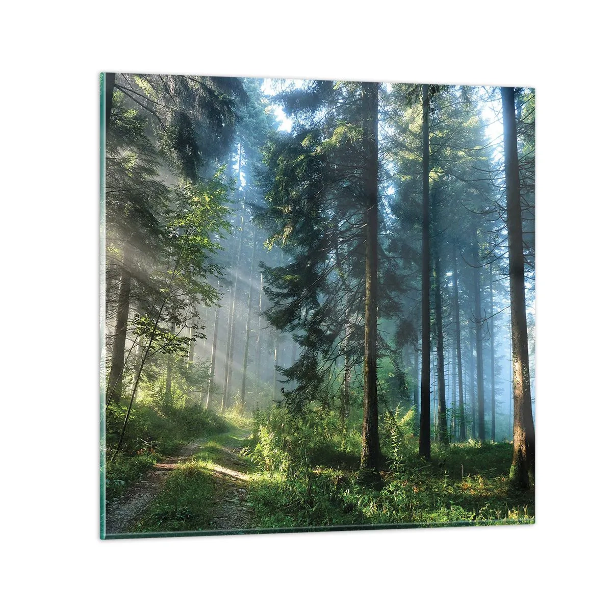 Obraz na skle - Žiariaci za úsvitu - 40x40 cm