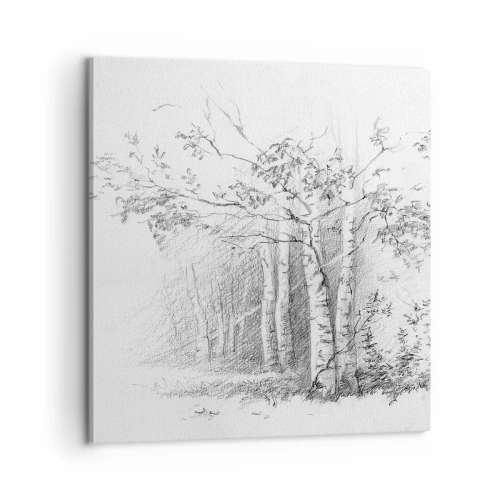 Obraz na plátne - Svetlo brezového lesa - 60x60 cm