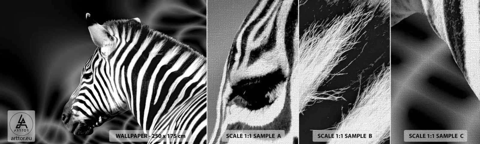 Vzorka fototapety Premium Canvas - Biele je biele a čierne je čierne - Rebrá, Čierna a biela, Zvieratá - 100x30 cm