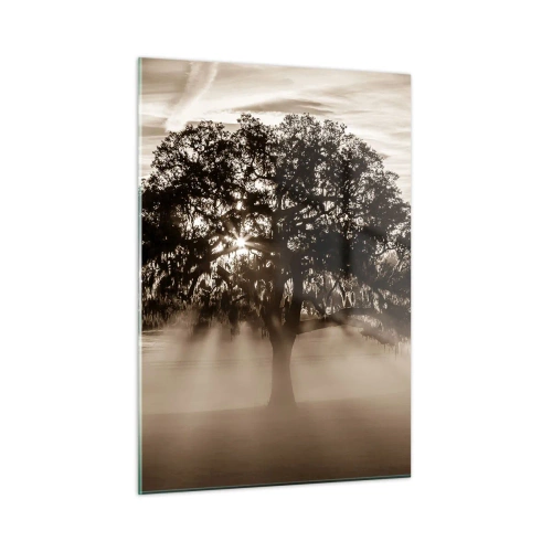 Obraz na skle - Strom správ samotného dobra - 50x70 cm