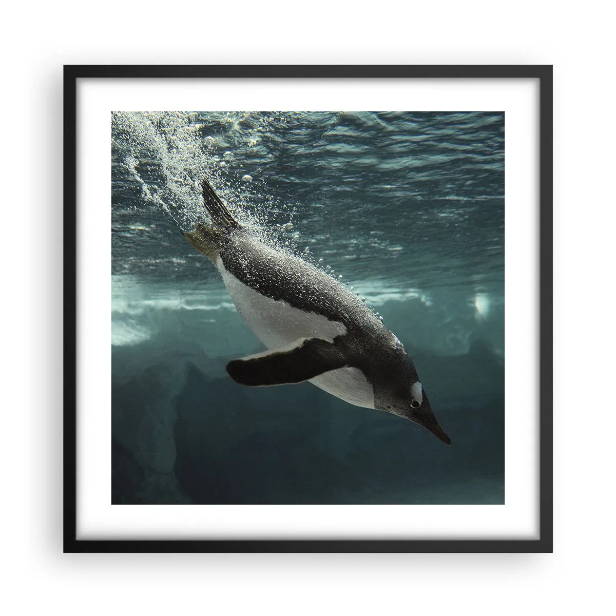 Plagát v čiernom ráme - Vitajte v mojom svete - 50x50 cm