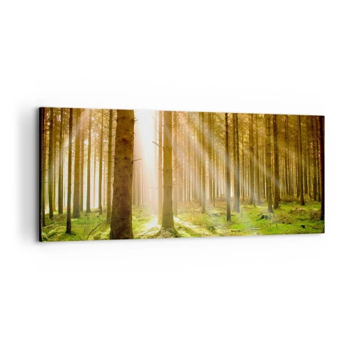 Obraz na plátne - Čoskoro sa objavia elfovia - 100x40 cm