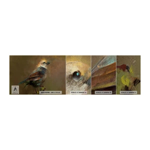 Vzorka fototapety Premium Canvas - Vrabček, maličký vtáčik - Abstrakcia, Vták, Príroda - 100x30 cm
