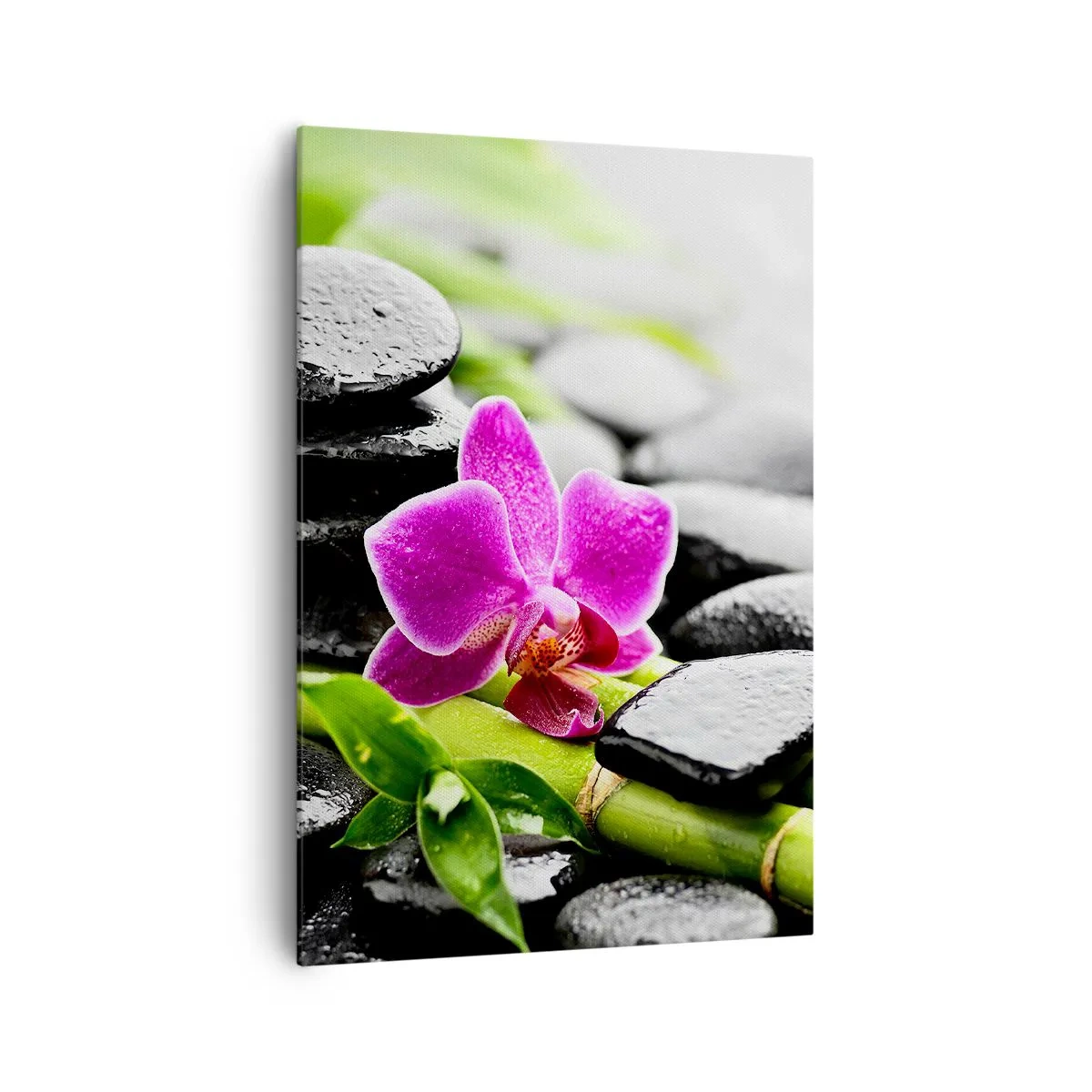 Obraz na plátne - V pokojnej rovnováhe - 70x100 cm