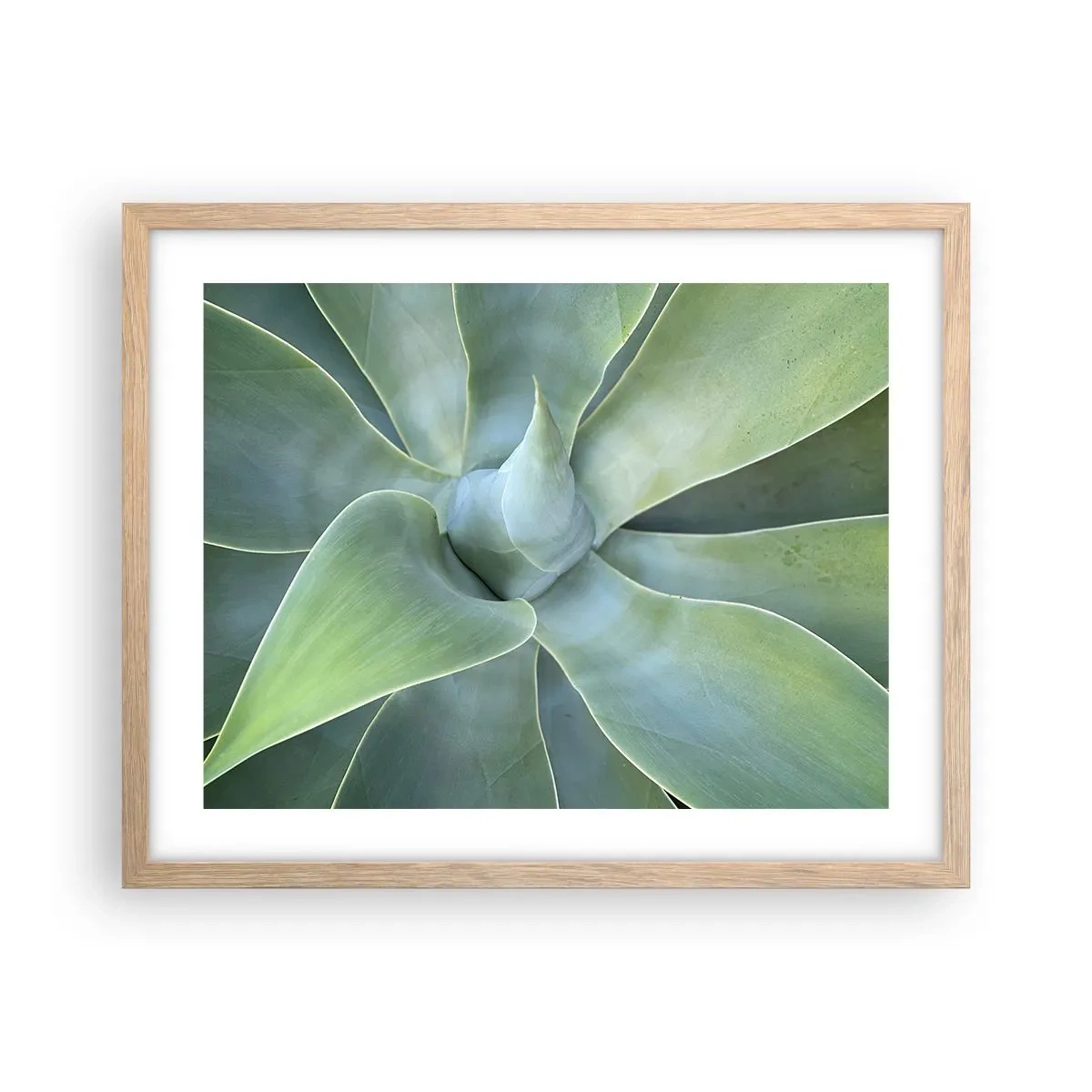 Plagát v ráme zo svetlého duba - Zrodenie zelene - 50x40 cm