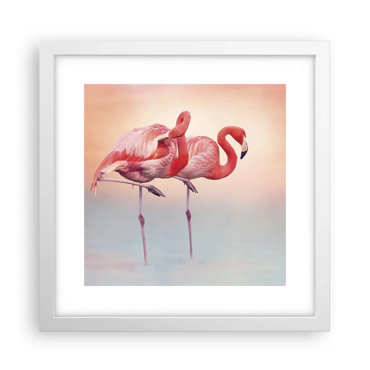 Plagát v bielom ráme - Vo farbe zapadajúceho slnka - 30x30 cm