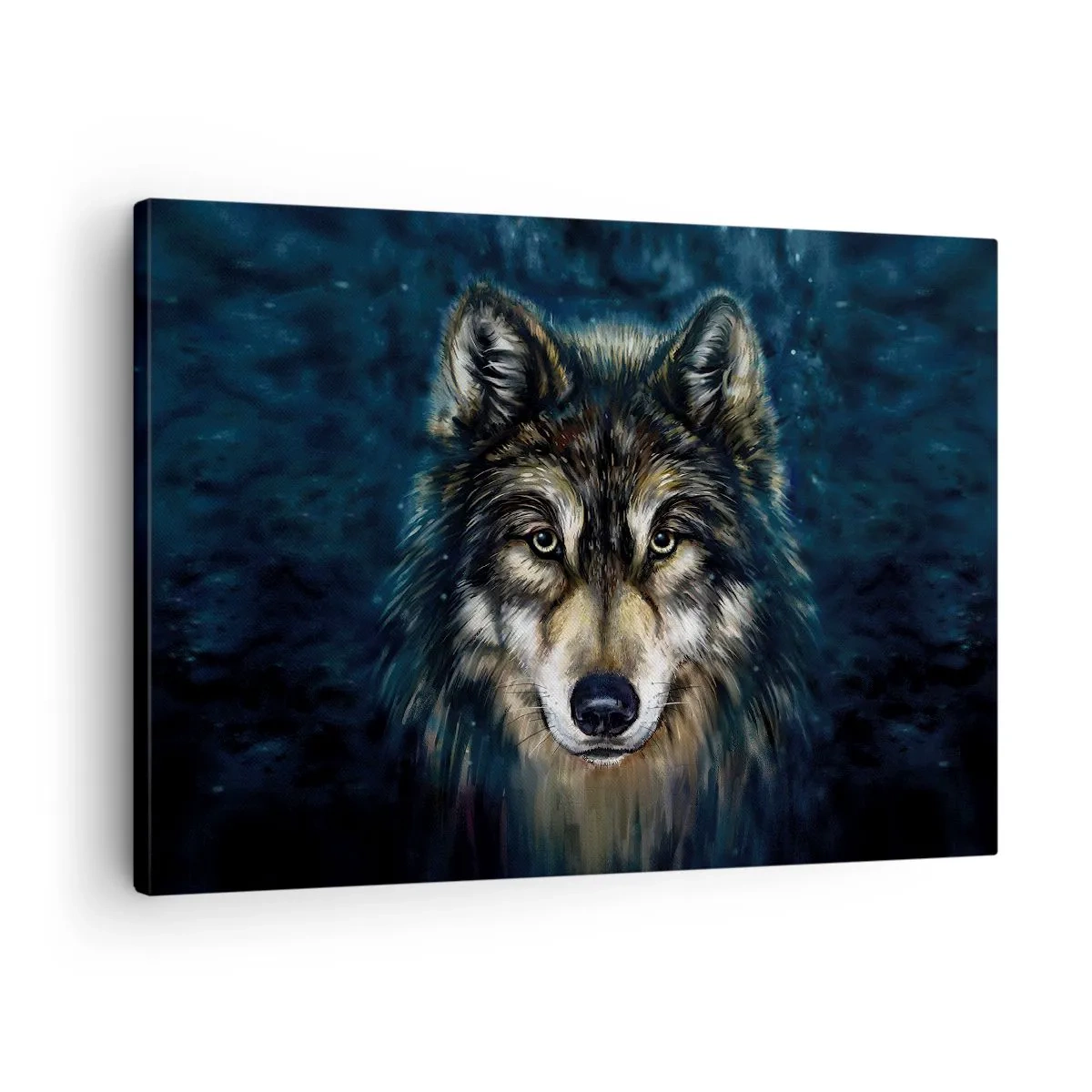Obraz na plátne - Portrét vlka na tmavomodrom pozadí - 70x50cm - Alfa? A omega - Moderná nástenná dekorácia do obývacej izby a spálne ARTTOR