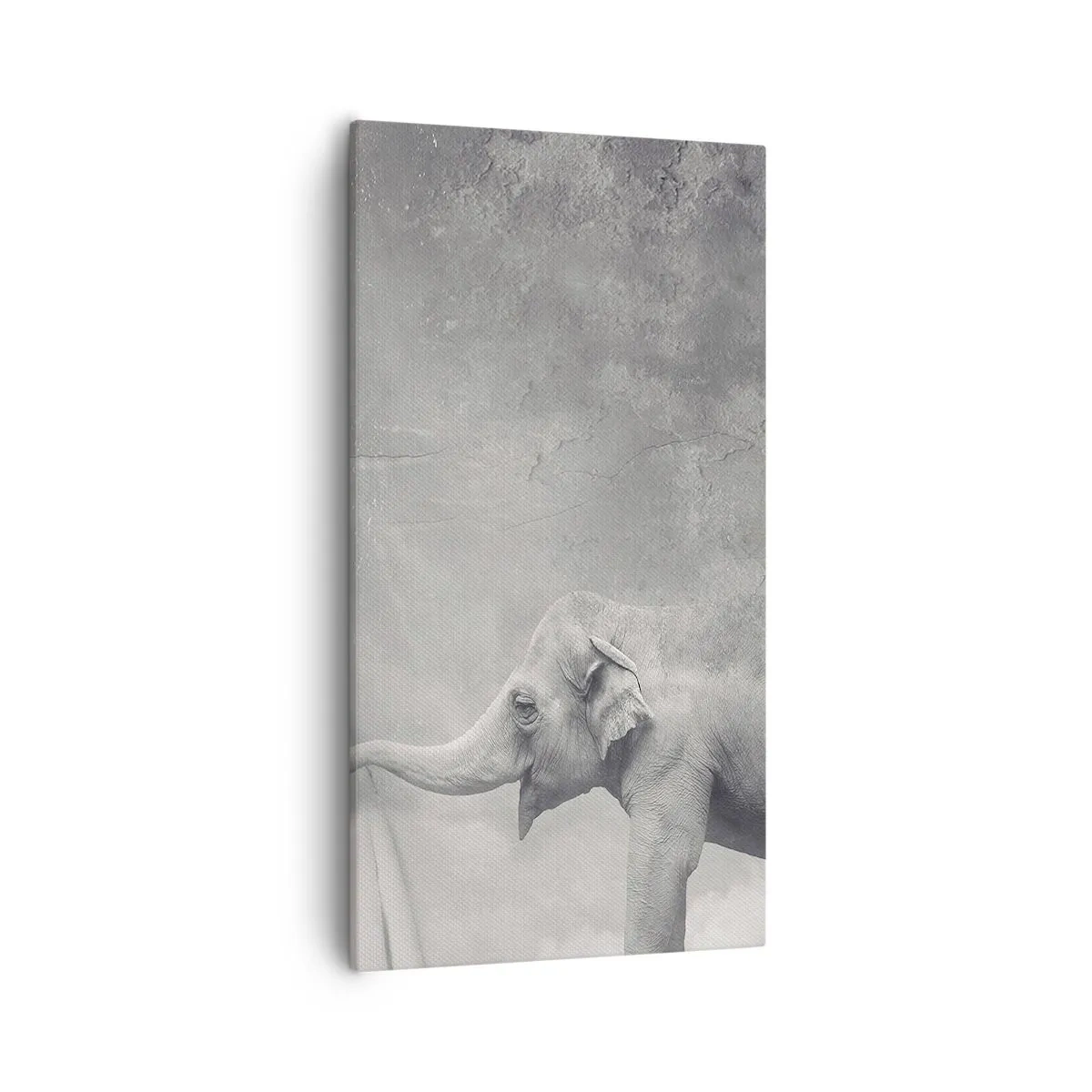 Obraz na plátne - Odhaliť tajomstvo - 55x100 cm