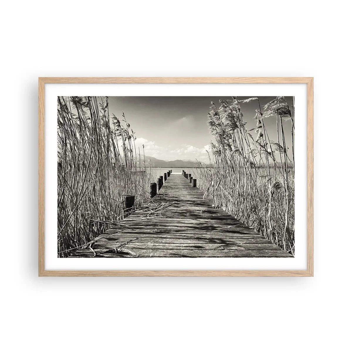 Plagát v ráme zo svetlého duba - V ústraní tráv - 70x50 cm