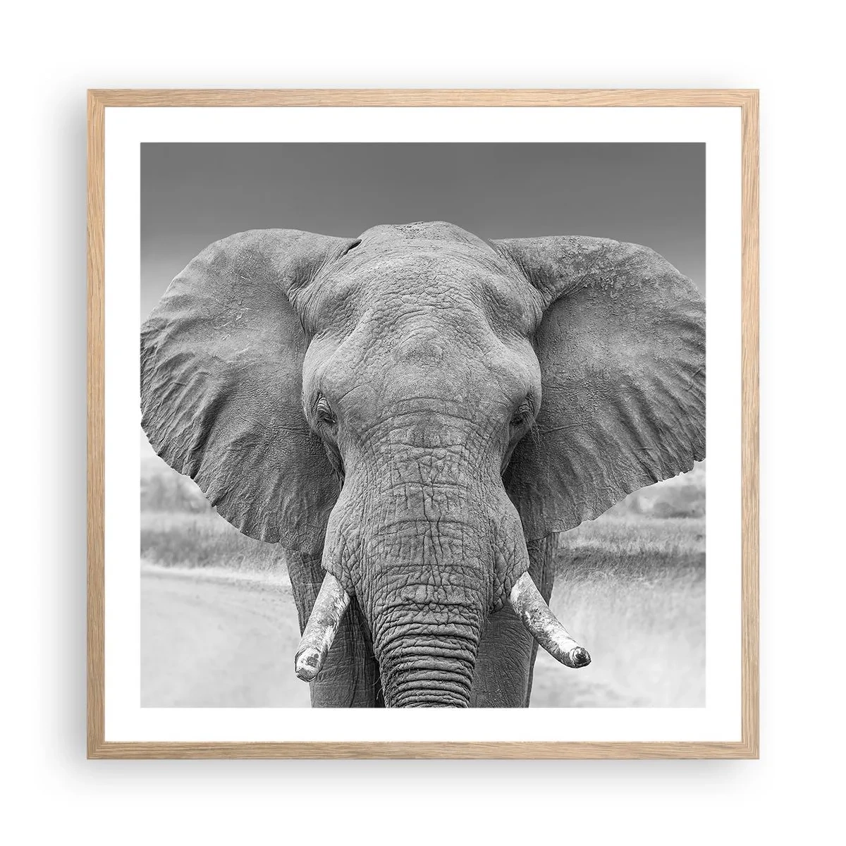 Plagát v ráme zo svetlého duba - Vitajte v mojom svete - 60x60 cm