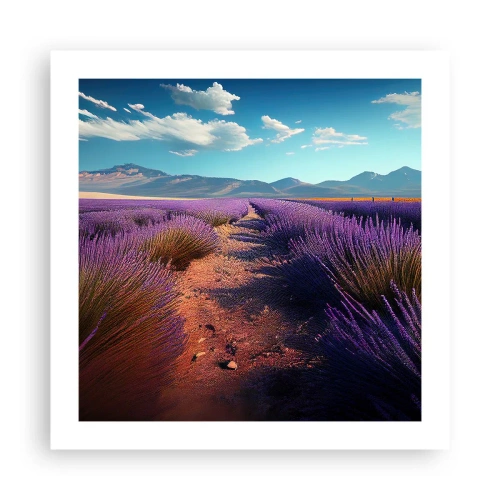 Plagát - Voňavé polia - 50x50 cm