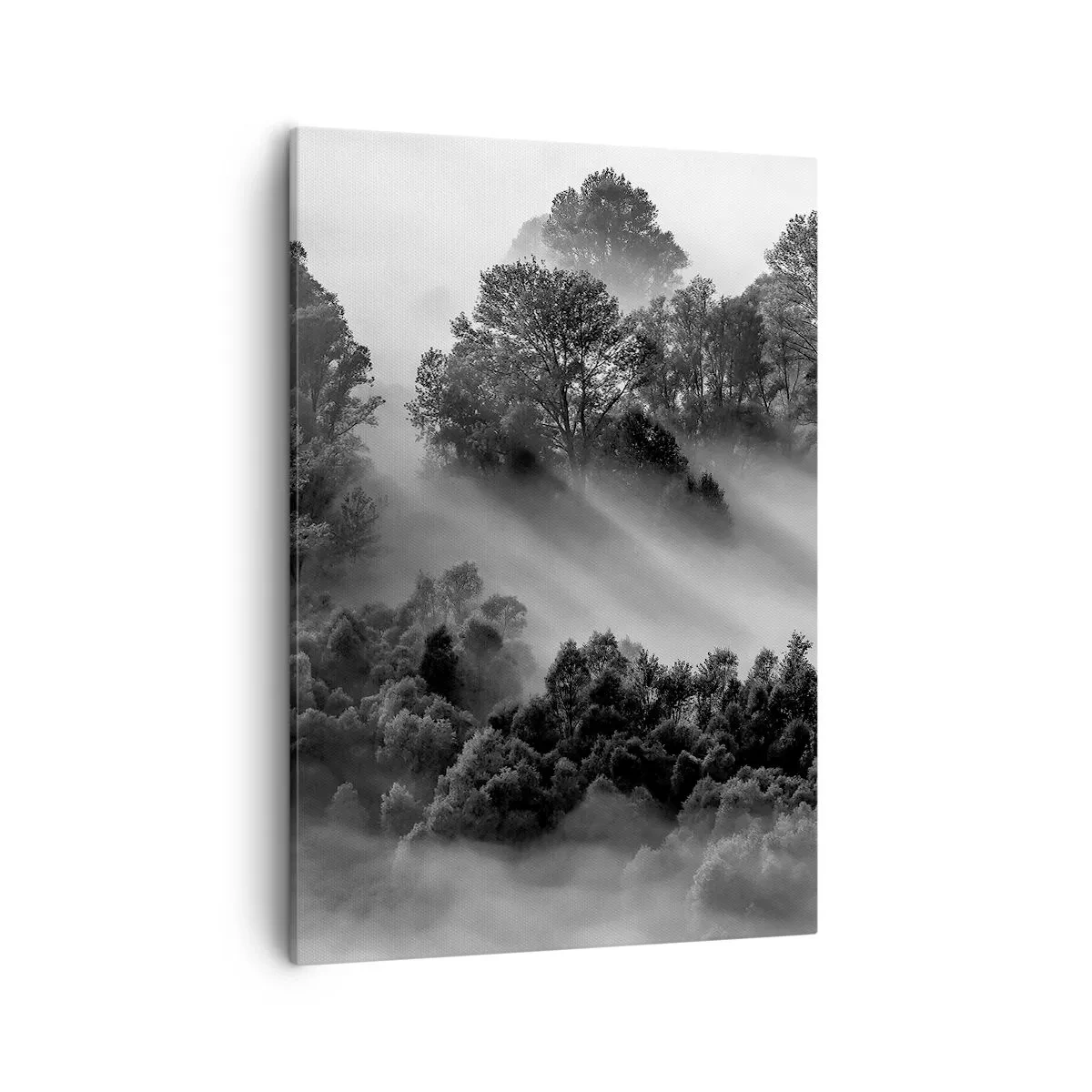 Obraz na plátne - Prebúdzanie zo spánku - 50x70 cm
