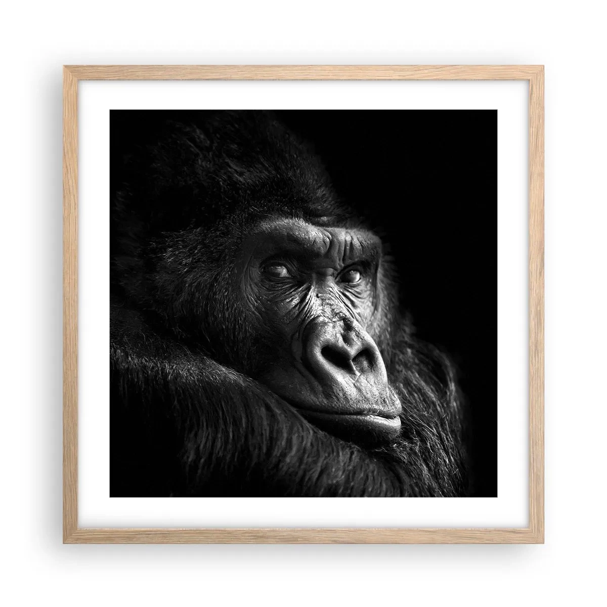 Plagát v ráme zo svetlého duba - Na čo sa tak pozeráš? - 50x50 cm