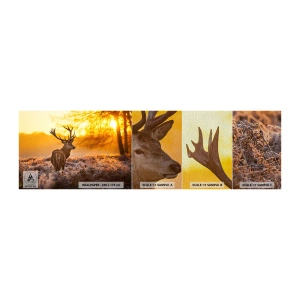 Vzorka fototapety Premium Sand - Kráľ jesenného lesa - Krajina, Jeleň, Príroda - 100x30 cm
