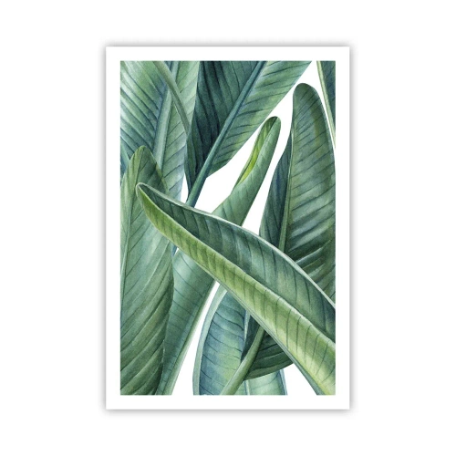 Plagát - Proste zelená - 61x91 cm