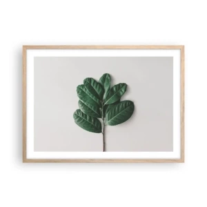 Plagát v ráme zo svetlého duba - Kresba samotnej prírody - 70x50 cm