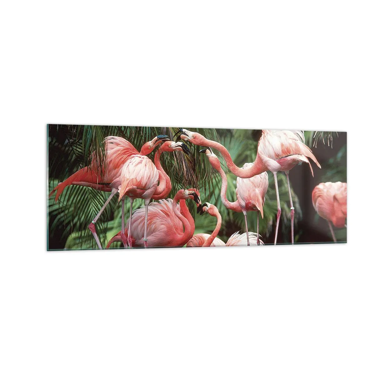Obraz na skle - Popoludňajšie klebety - 140x50 cm