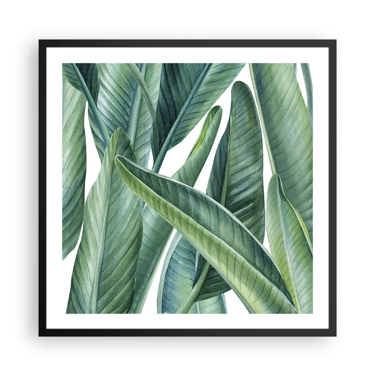 Plagát v čiernom ráme - Proste zelená - 60x60 cm
