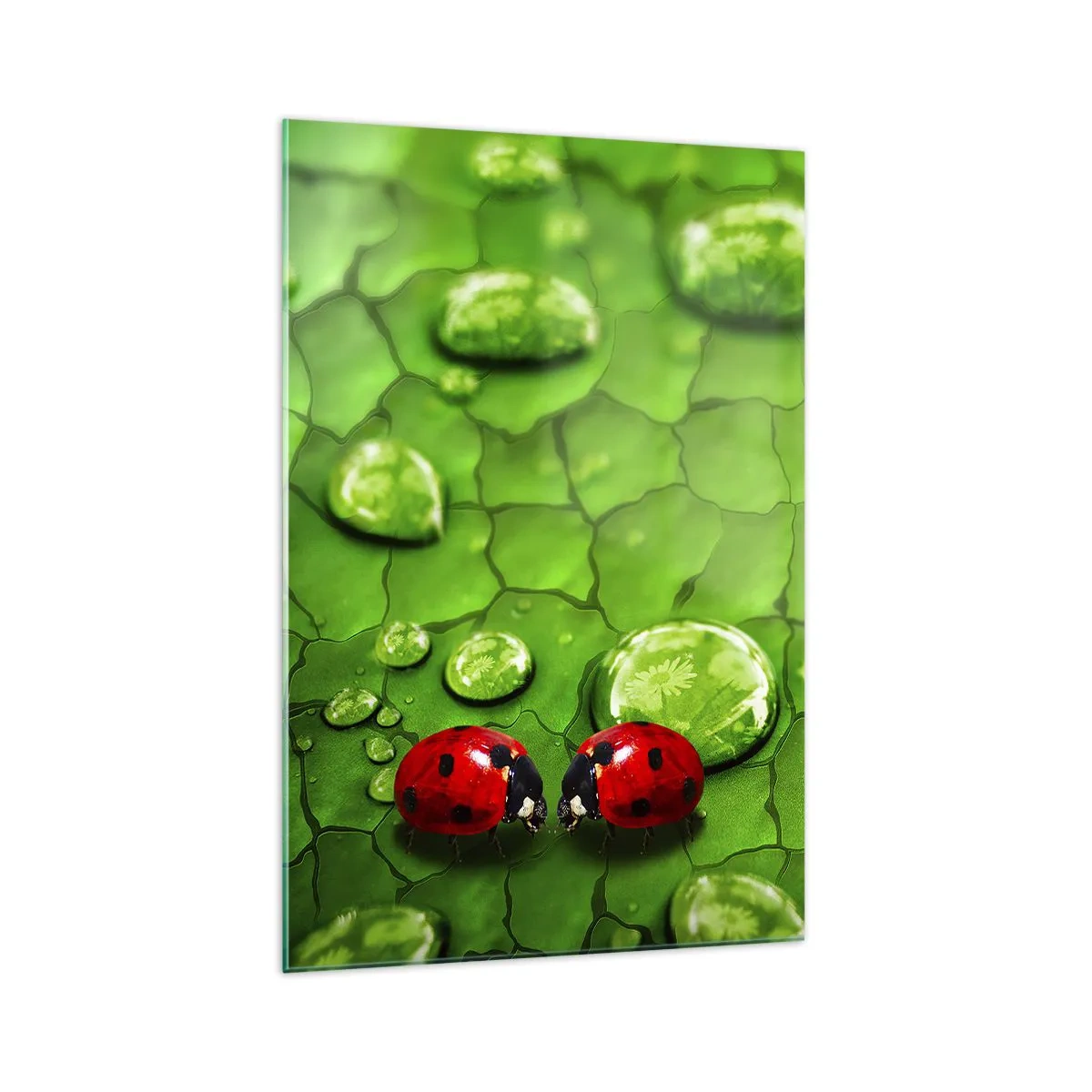 Obraz na skle - Stretnutie v zeleni - 70x100 cm