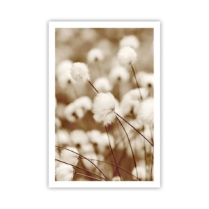 Plagát - Chlpatý lán - 61x91 cm