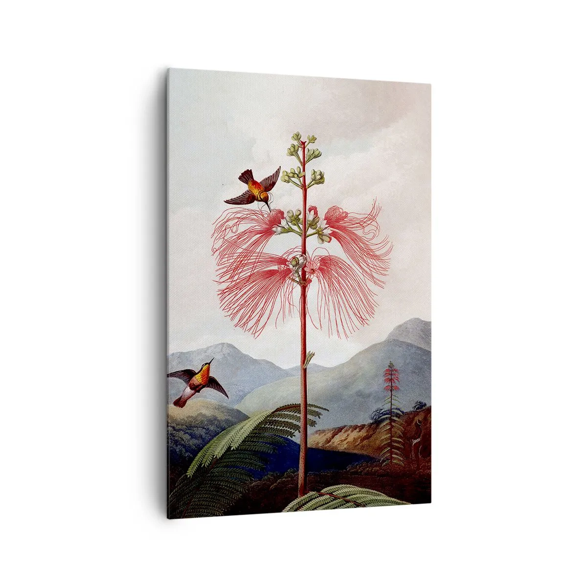 Obraz na plátne - V tropickom raji - 80x120 cm