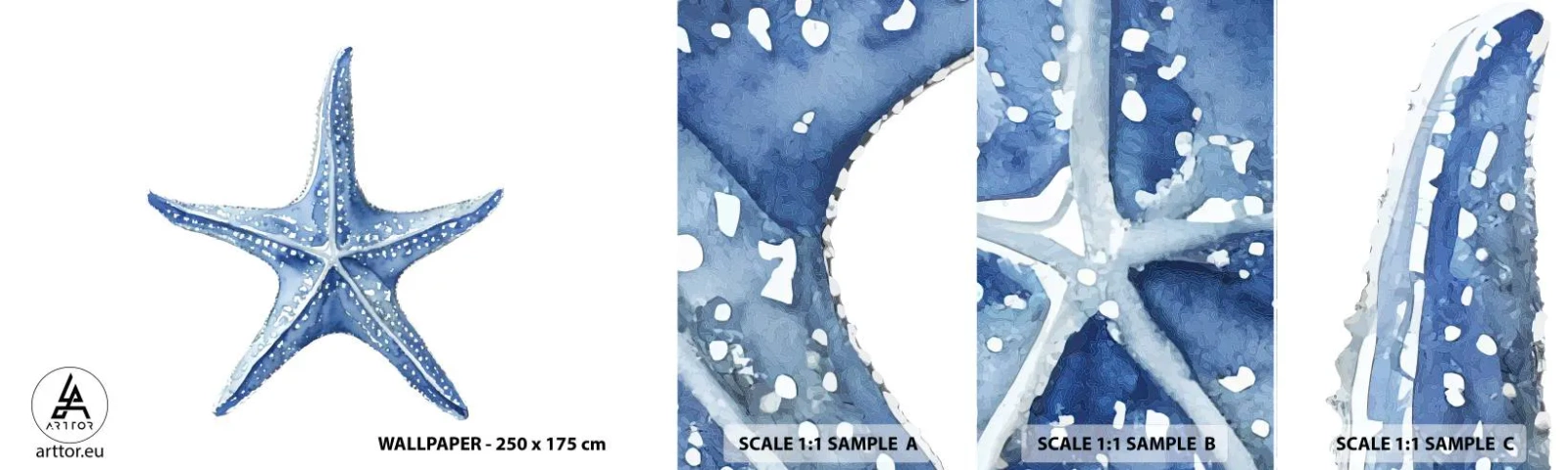 Vzorka samolepiacej fototapety Deluxe Sticker - Hviezda mora - Hviezdica, Prímorské, koralový útes - 100x30 cm