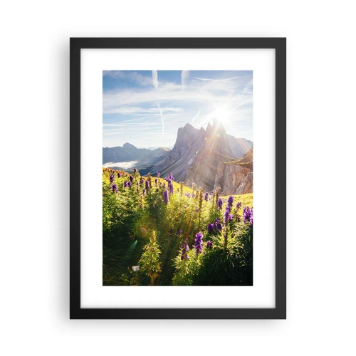 Plagát v čiernom ráme - Tajomný život bylín - 30x40 cm