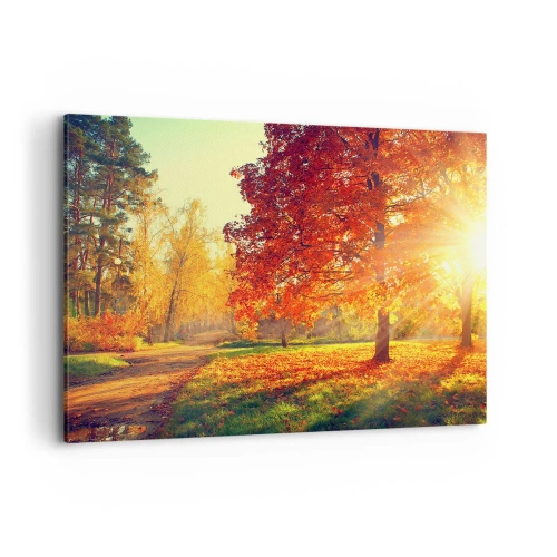 Obraz na plátne - Červené je krásne - 120x80 cm