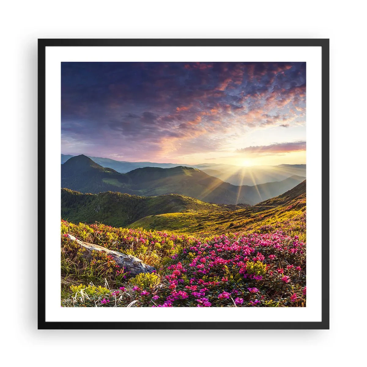 Plagát v čiernom ráme - Sviežosť horského rána - 60x60 cm