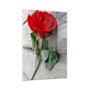 Obraz na skle - Štúdia v šarlátovej - 50x70 cm