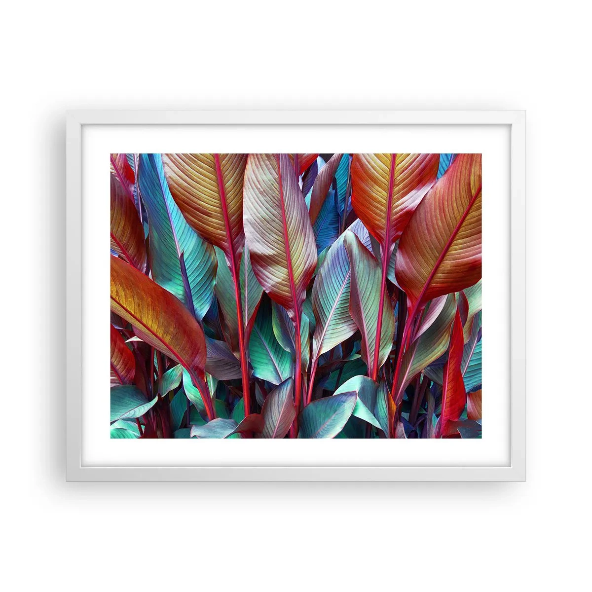 Plagát v bielom ráme - Farebná húština - 50x40 cm