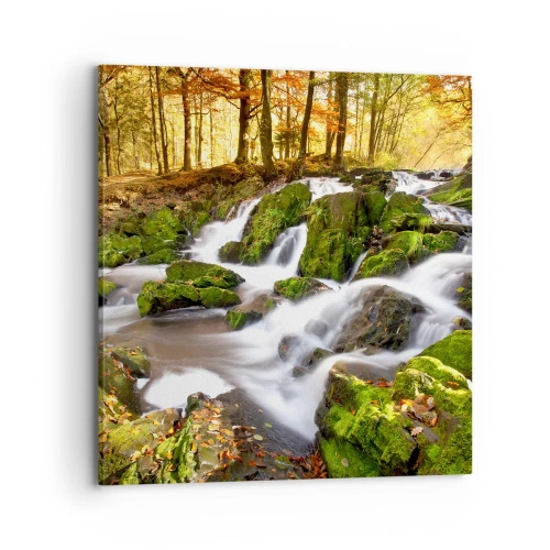 Obraz na plátne - Chvatom jesenným lesom - 70x70 cm