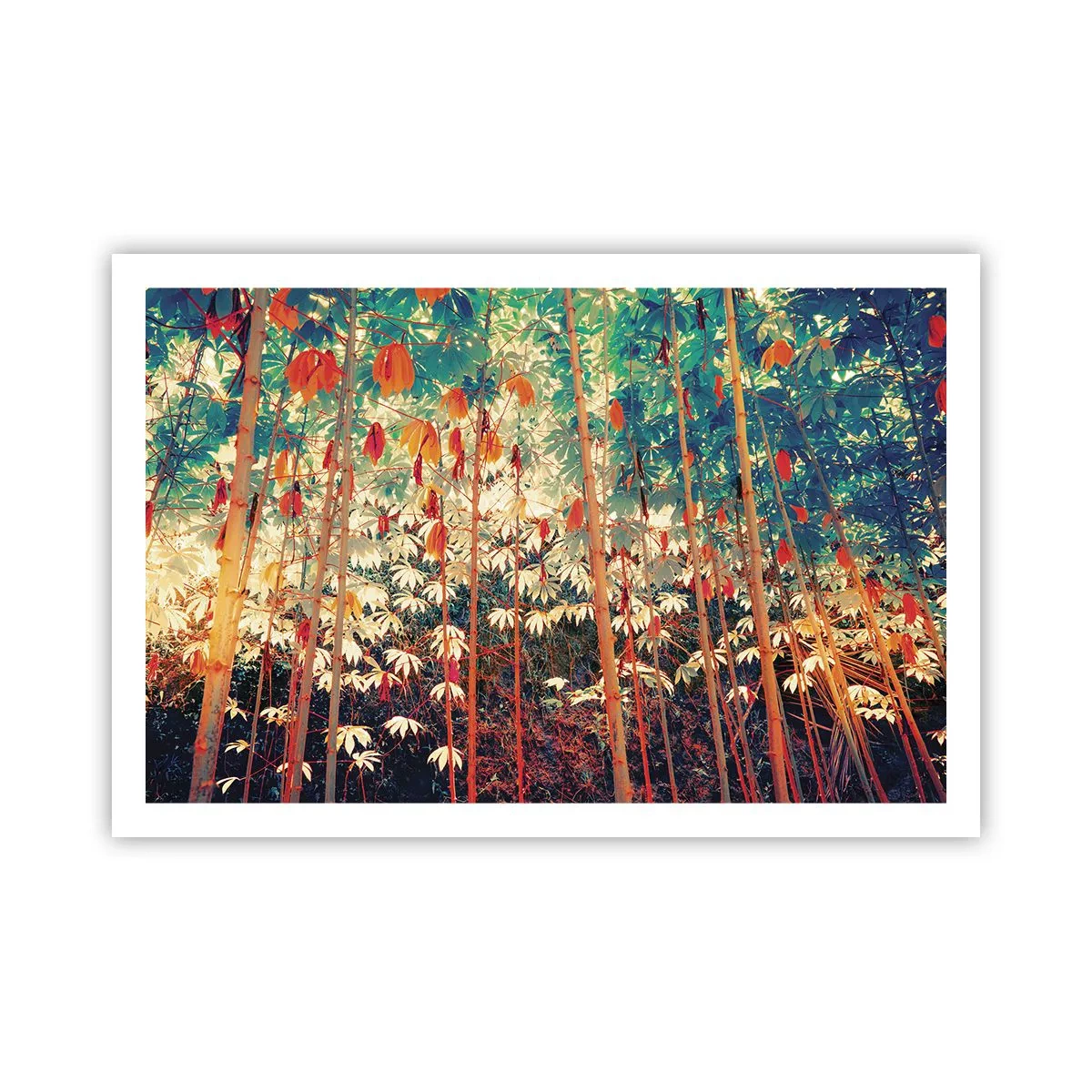 Plagát - Tajný život listov - 91x61 cm